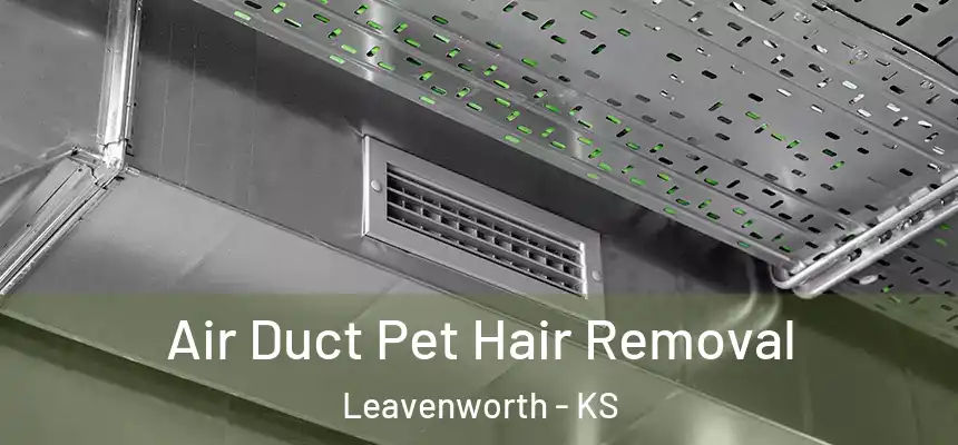  Air Duct Pet Hair Removal Leavenworth - KS