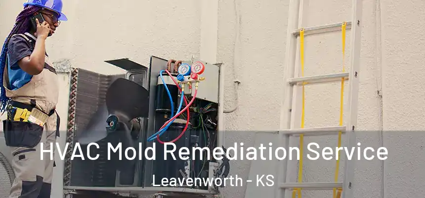 HVAC Mold Remediation Service Leavenworth - KS