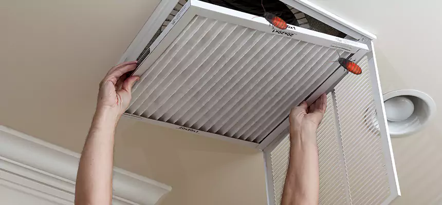 Preventive Cockroach-Proofing for Ducts in Leavenworth
