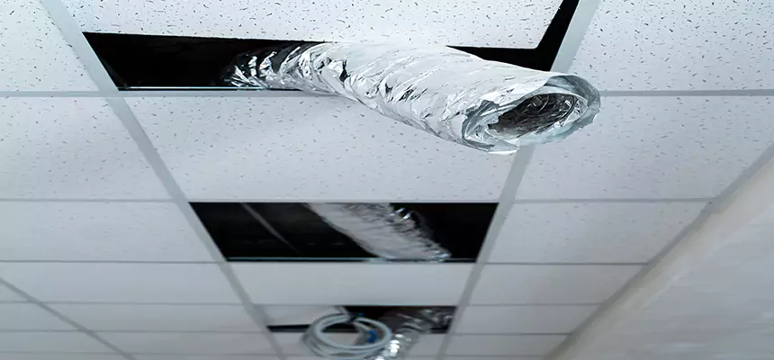 Affordable HVAC Sanitizing After Pest Removal in Leavenworth