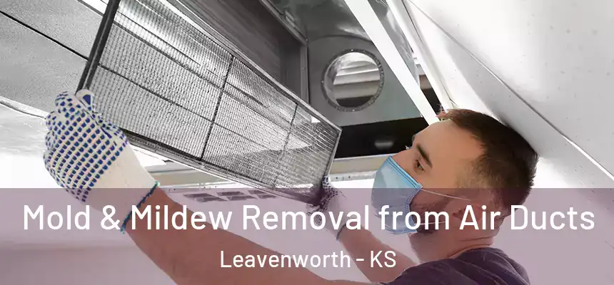  Mold & Mildew Removal from Air Ducts Leavenworth - KS