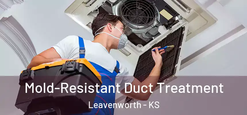  Mold-Resistant Duct Treatment Leavenworth - KS