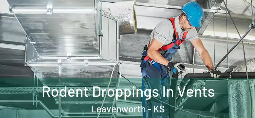 Rodent Droppings In Vents Leavenworth - KS