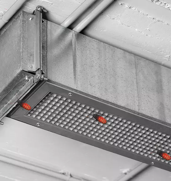 About Air Duct Cockroach Removal in Leavenworth, KS