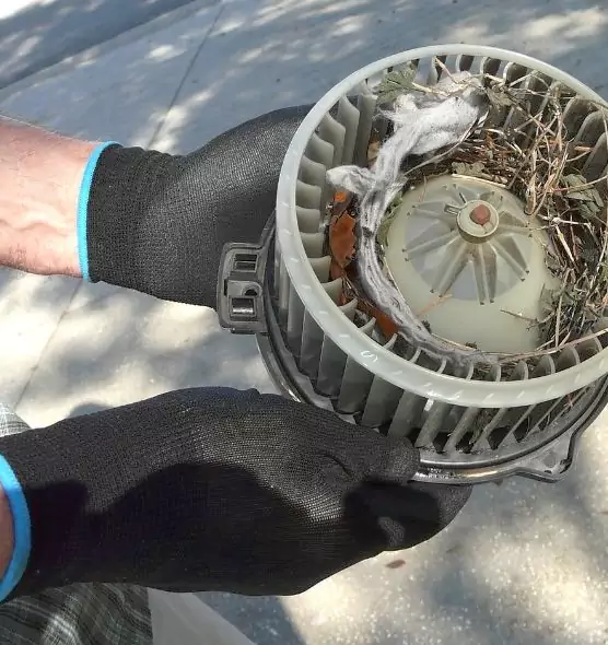 About Air Duct Rat Removal in Leavenworth, KS